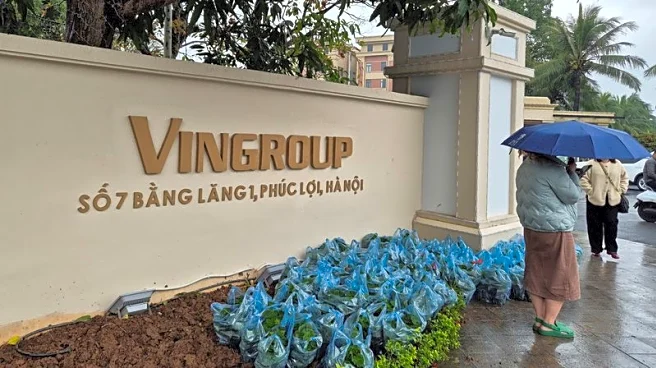 Exclusive-Vingroup proposes scrapping LNG-powered plant plan for renewables amid Iran war, document shows