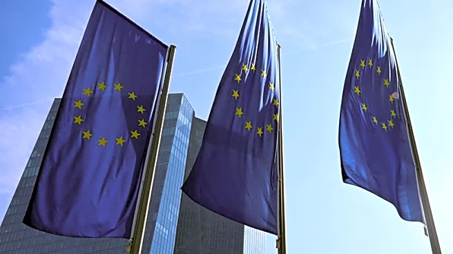 ECB's new models may help capture shifts in inflation expectations, blog post says