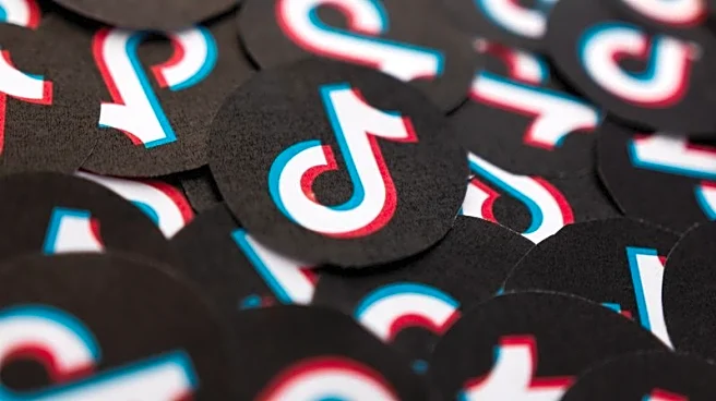 Exclusive-TikTok seeks Brazil fintech license to offer credit