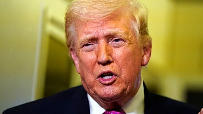 Huge glass skyscraper envisioned for Trump presidential library in AI video