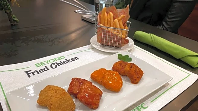 Beyond Meat misses quarterly results estimates on persistent demand struggles