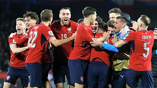 Soccer-Czechs beat Denmark on penalties to book World Cup spot