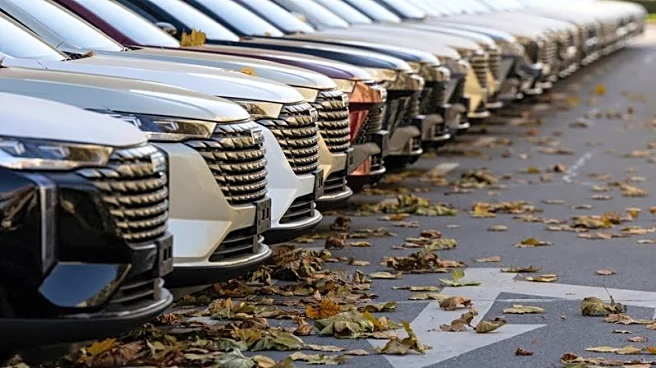 Republican senator proposes to widen US ban on Chinese autos