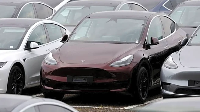 Tesla French car registrations triple in March