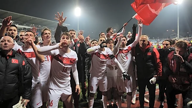 Soccer-Turkey target World Cup  knockout stages after ending 24-year wait