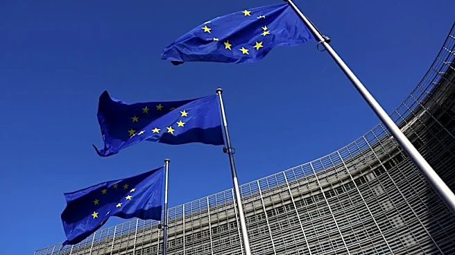 EU fines on US companies are biggest source of friction, State Department official says