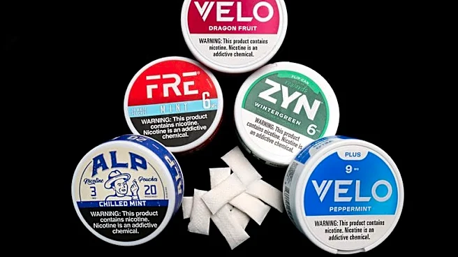 Exclusive-Worries over science, new addicts stymie US nicotine pouch fast-track scheme