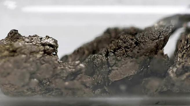 REalloys, U.S. Critical Materials sign MoU to build domestic rare earth supply chain