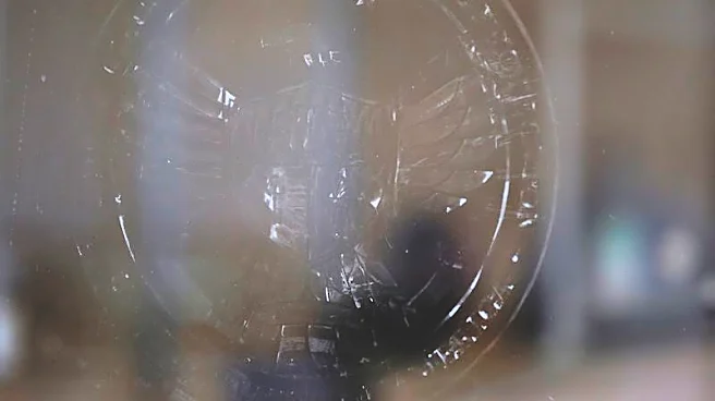 Trump admin presents new plan to slash two thirds of consumer watchdog workforce