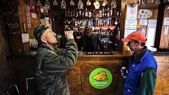 At village pub in Orban's heartland, Hungary's vote plays out over pints