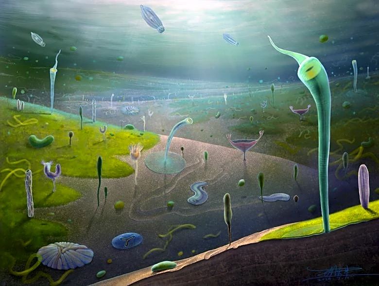 Chinese fossils reveal a primordial burst of animal evolution