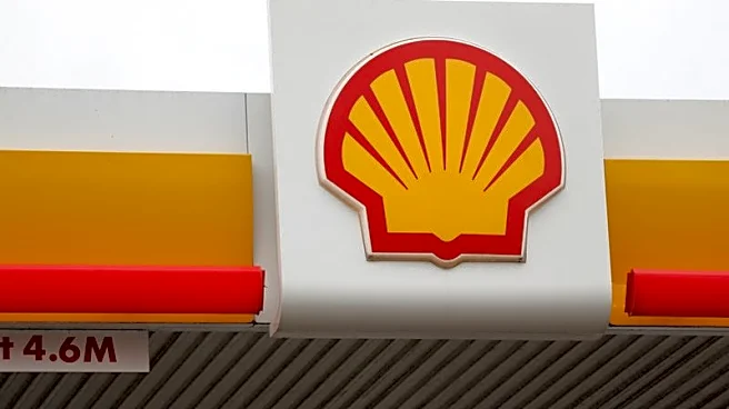 Exclusive-Oil giants show early interest in US Gulf deepwater field stake, sources say