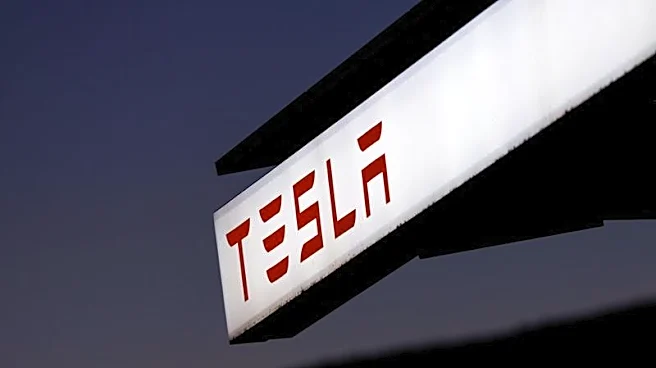 Tesla eyes Japan's top imported-car spot as it expands store, service network