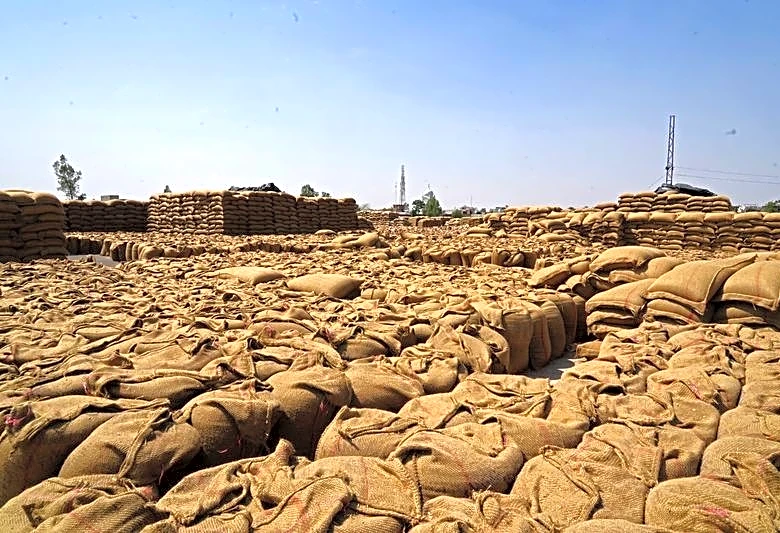 World food price rise set to continue if Iran war lasts, FAO says