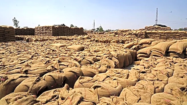 World food price rise set to continue if Iran war lasts, FAO says