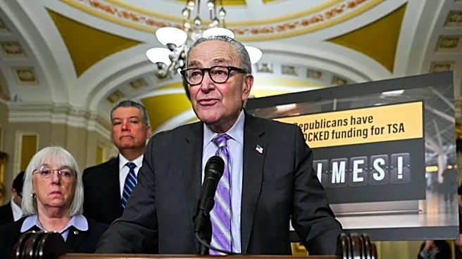 Senators urge Trump to bar Chinese automakers from building cars in US