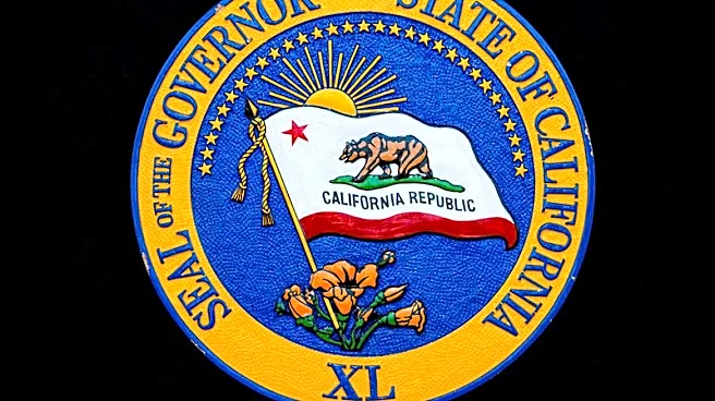 Trump endorses former British government aide Steve Hilton in California governor's race