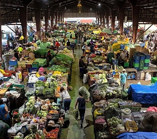 Fuel price surge pushes Philippine inflation above central bank target