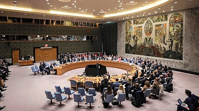 China and Russia veto UN resolution on protecting Hormuz shipping