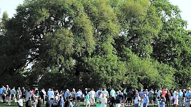 Golf-At the Masters, Augusta National's oak tree is where the golf does its deals