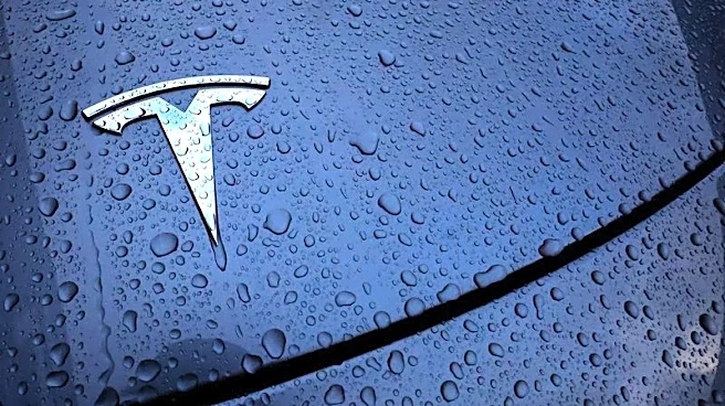 Exclusive-Tesla is developing a new smaller, cheaper EV, sources say