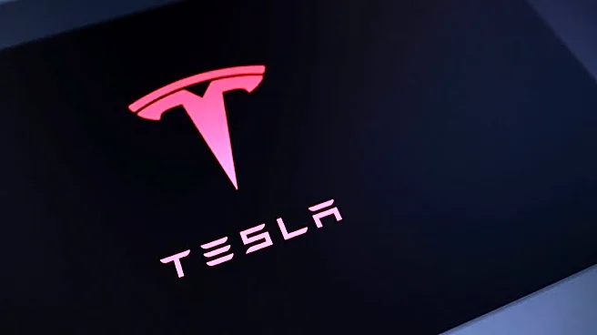 Tesla's lower-cost EV plan seen boosting volume, risking margins