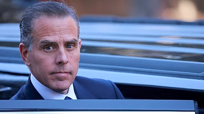 Ready to rumble? Hunter Biden challenges Trump's sons to cage match