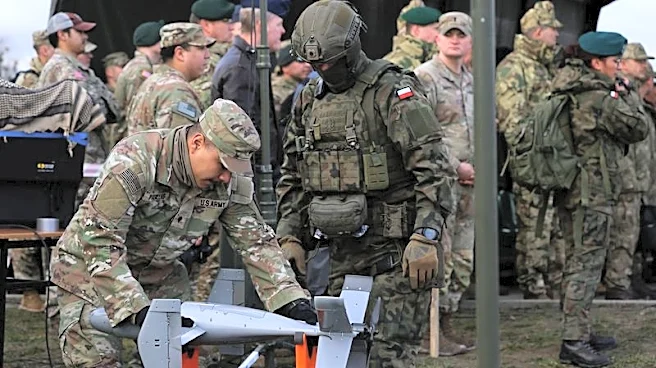 Factbox-Details of U.S. troops based in Europe as Trump mulls removing some