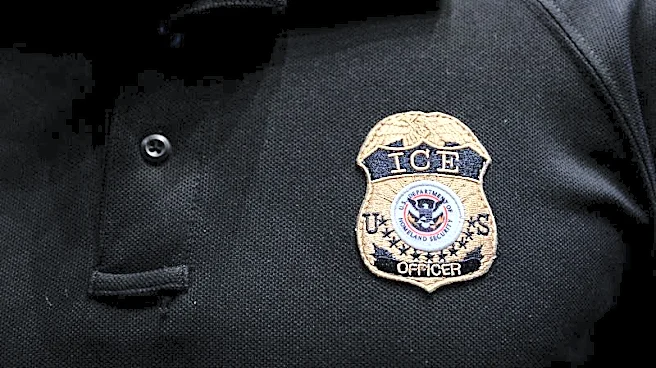 Exclusive-ICE launches new effort to uncover US ‘birth tourism schemes’