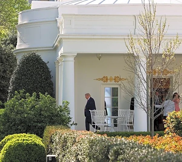 Explainer-Why are people talking about the 25th Amendment to the US Constitution?