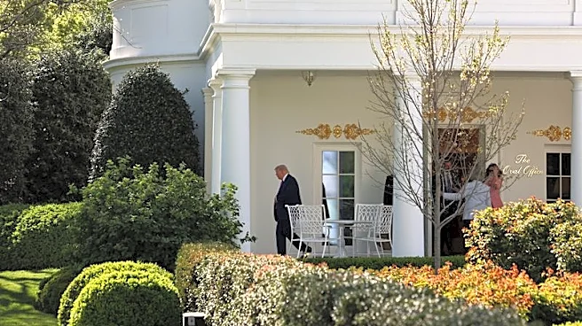 Explainer-Why are people talking about the 25th Amendment to the US Constitution?