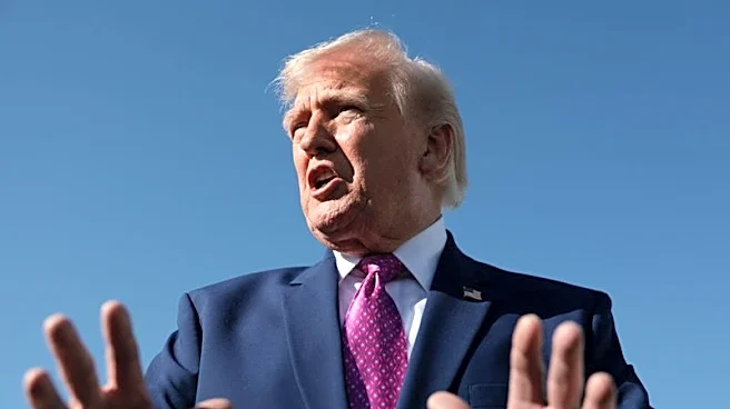 Trump says US will have Strait of Hormuz 'open fairly soon'