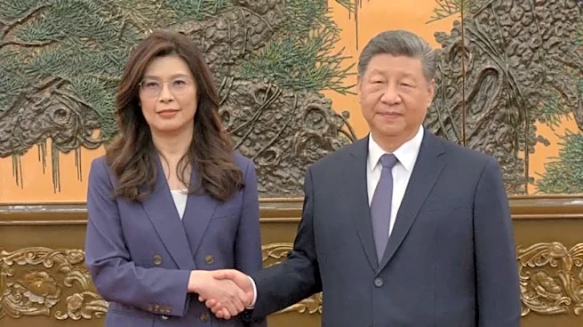 Taiwan government should lead engagement with China on new measures, senior official says