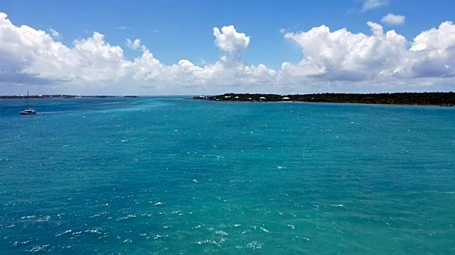 Bahamas police release Michigan man after his wife vanishes at sea