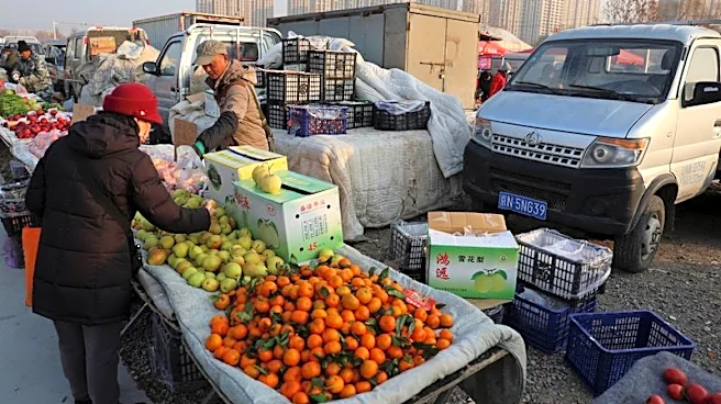 IMF cuts emerging economies' growth estimate as war darkens outlook