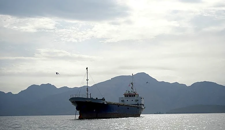 Exclusive-Iran offers proposal allowing ships to exit Oman side of Hormuz free of attack, source says