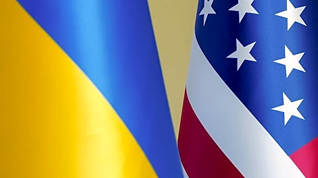Ukraine official expects US-Ukrainian investment fund to approve second project in summer