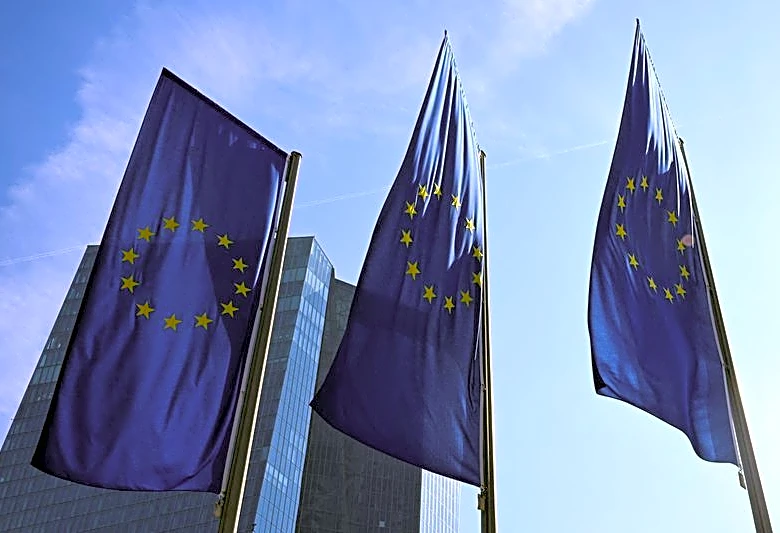 European banks can withstand current shocks, watchdog head says