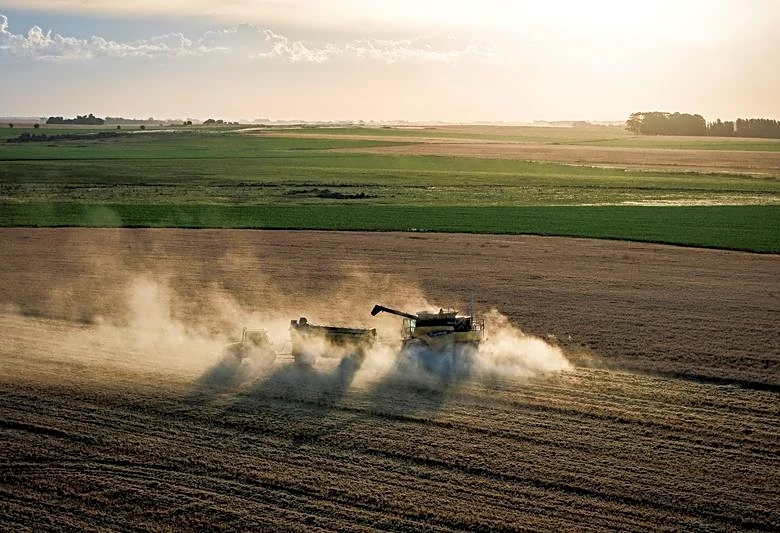 Argentina wheat threatened by high urea fertilizer prices due to  Iran war