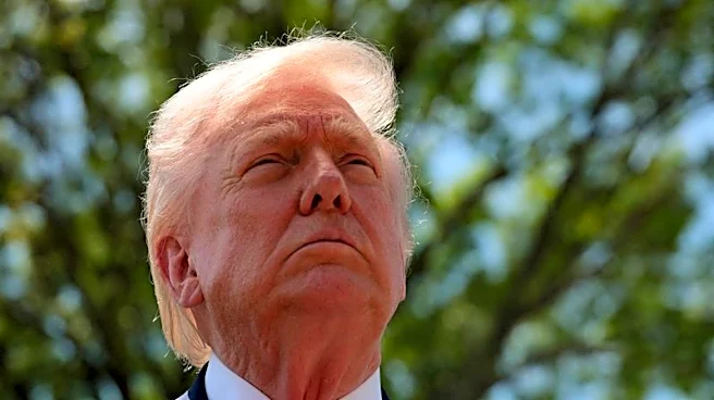 US to recover uranium from Iran at a 'leisurely pace', Trump tells Reuters