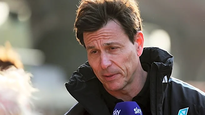 Motor racing-Wolff says F1 must wield scalpel not baseball bat in making changes