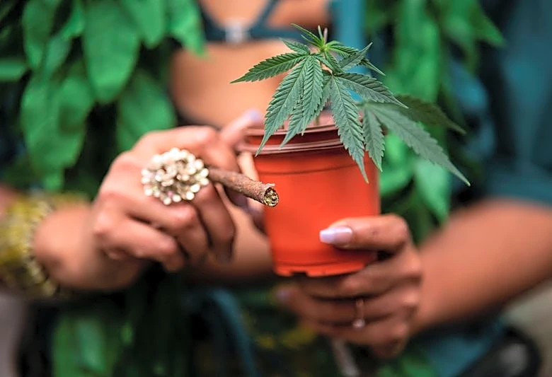 GLP-1 boom nudges cannabis dispensaries to rethink offerings