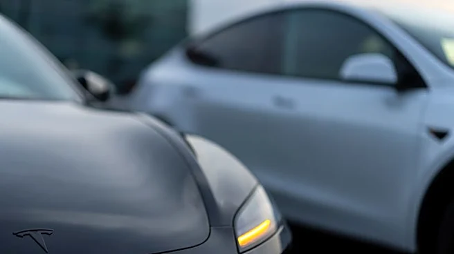 Tesla California registrations slide as incentives fade, industry body says