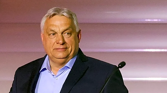 US investors crave predictability after Orban's overnight law changes