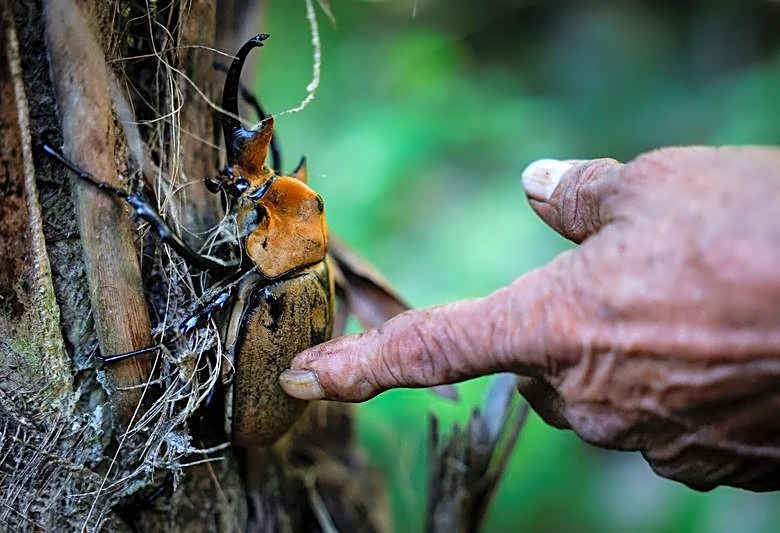 In Mexico, flagship Mayan tourist train leaves trail of broken pledges