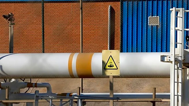 Iran war conflict could create systemic gas demand destruction, says top sector official