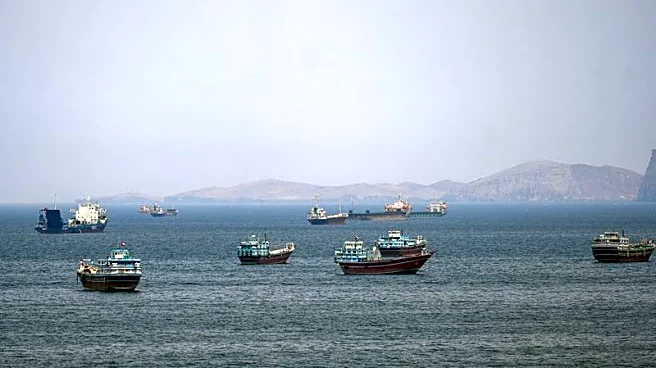 Asian shipowners to cross Hormuz before Western firms, executives say