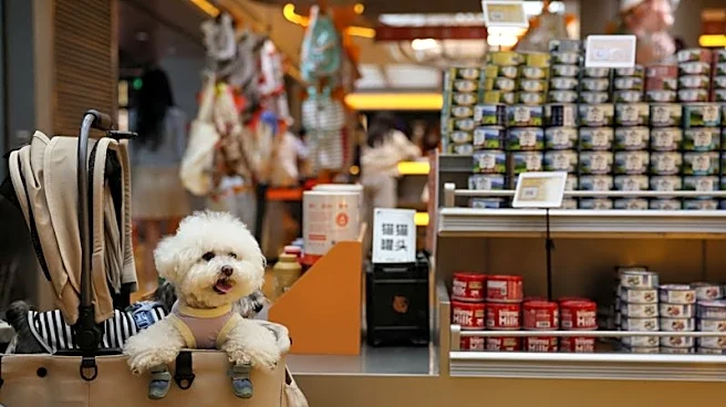 Analysis-China’s $24 billion pet food market heats up as local brands challenge global players
