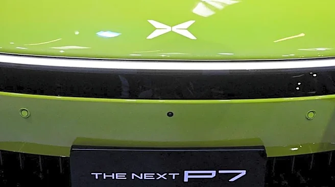 China's global EV push reflects its ambition - and harsh economics at home