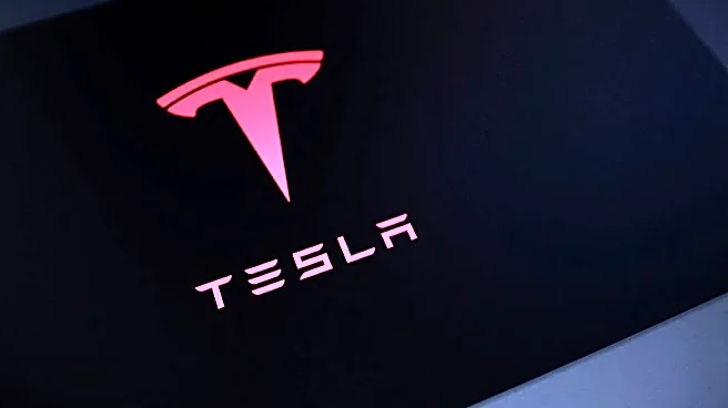 Tesla's $25 billion spending plan tests investor faith in unproven AI bets